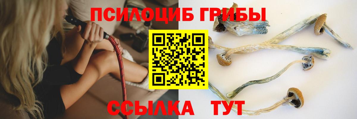 Псилоцибиновые грибы мухоморы  Вход с VPN  Фролово 